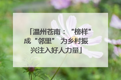 温州苍南：“榜样”成“邻里” 为乡村振兴注入好人力量