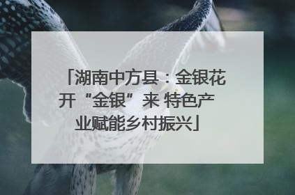 湖南中方县：金银花开“金银”来 特色产业赋能乡村振兴