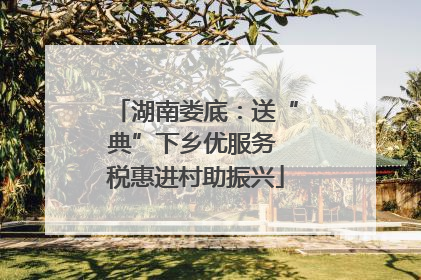 湖南娄底：送“典”下乡优服务 税惠进村助振兴