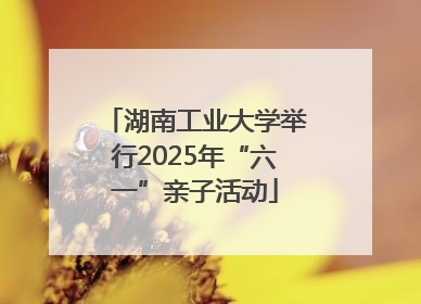 湖南工业大学举行2025年“六一”亲子活动