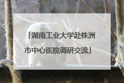 湖南工业大学赴株洲市中心医院调研交流