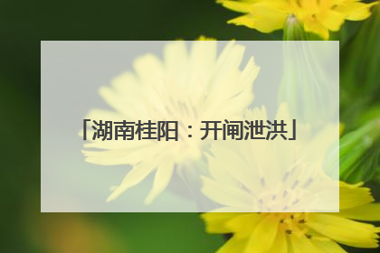 湖南桂阳：开闸泄洪