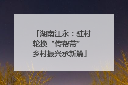 湖南江永：驻村轮换“传帮带” 乡村振兴承新篇