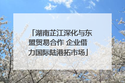 湖南芷江深化与东盟贸易合作 企业借力国际陆港拓市场