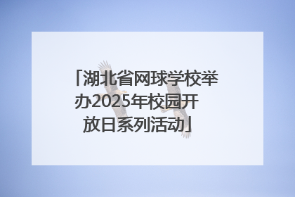 湖北省网球学校举办2025年校园开放日系列活动