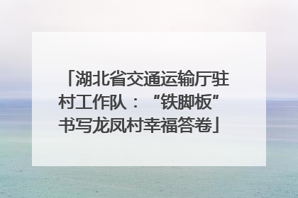 湖北省交通运输厅驻村工作队：“铁脚板”书写龙凤村幸福答卷