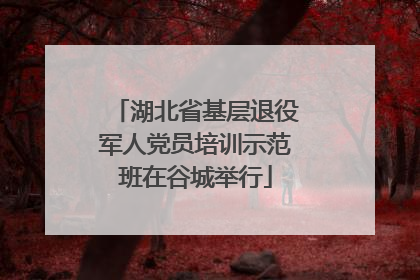 湖北省基层退役军人党员培训示范班在谷城举行