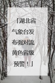 湖北省气象台发布强对流黄色省级预警！