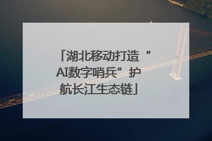 湖北移动打造“AI数字哨兵”护航长江生态链