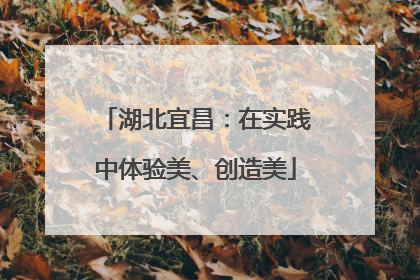 湖北宜昌：在实践中体验美、创造美