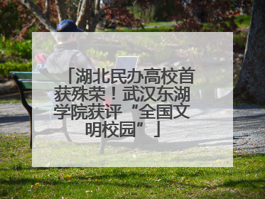 湖北民办高校首获殊荣！武汉东湖学院获评“全国文明校园”