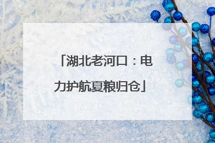 湖北老河口：电力护航夏粮归仓