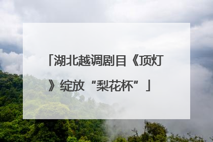 湖北越调剧目《顶灯》绽放“梨花杯”