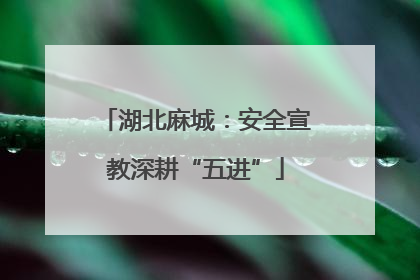 湖北麻城：安全宣教深耕“五进”