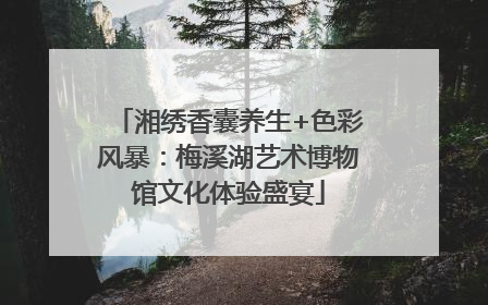 湘绣香囊养生+色彩风暴：梅溪湖艺术博物馆文化体验盛宴