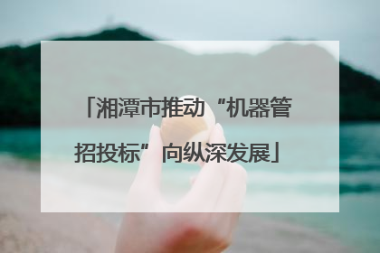 湘潭市推动“机器管招投标”向纵深发展