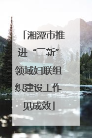 湘潭市推进“三新”领域妇联组织建设工作见成效
