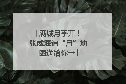 满城月季开！一张威海追“月”地图送给你→