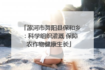 漯河市舞阳县保和乡：科学组织灌溉 保障农作物健康生长