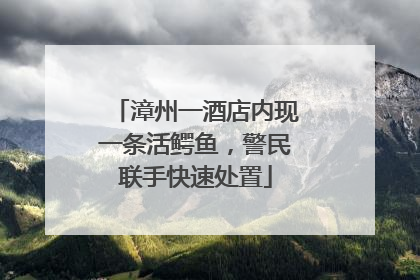 漳州一酒店内现一条活鳄鱼，警民联手快速处置