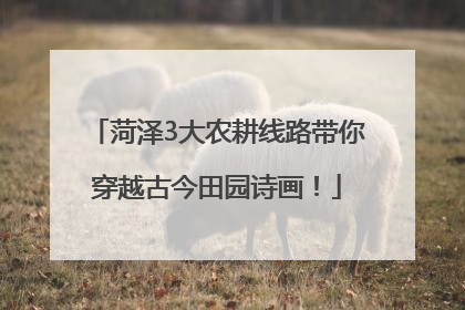 菏泽3大农耕线路带你穿越古今田园诗画！