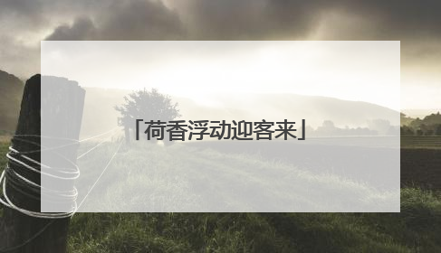 荷香浮动迎客来