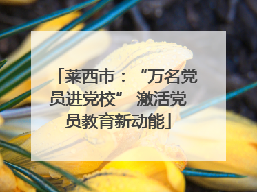 莱西市：“万名党员进党校” 激活党员教育新动能