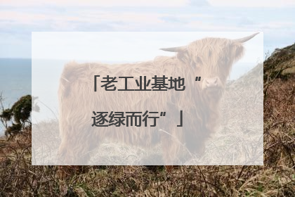 老工业基地“逐绿而行”