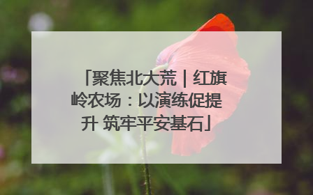 聚焦北大荒｜红旗岭农场：以演练促提升 筑牢平安基石
