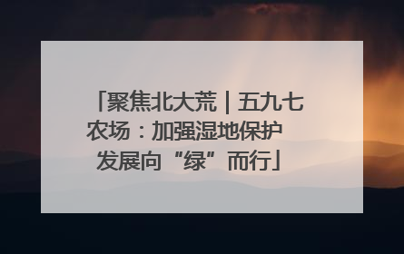 聚焦北大荒｜五九七农场：加强湿地保护 发展向“绿”而行