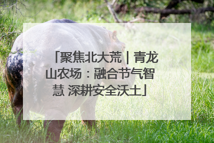 聚焦北大荒｜青龙山农场：融合节气智慧 深耕安全沃土