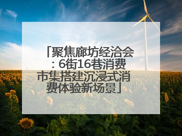 聚焦廊坊经洽会：6街16巷消费市集搭建沉浸式消费体验新场景