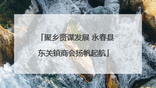 聚乡贤谋发展 永春县东关镇商会扬帆起航