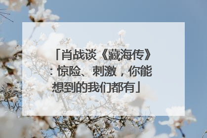 肖战谈《藏海传》：惊险、刺激，你能想到的我们都有