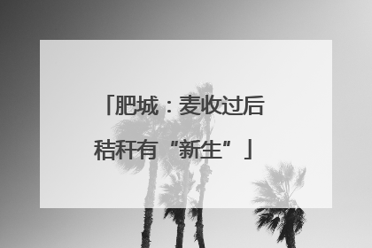 肥城：麦收过后秸秆有“新生”