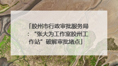 胶州市行政审批服务局：“张大为工作室胶州工作站”破解审批堵点