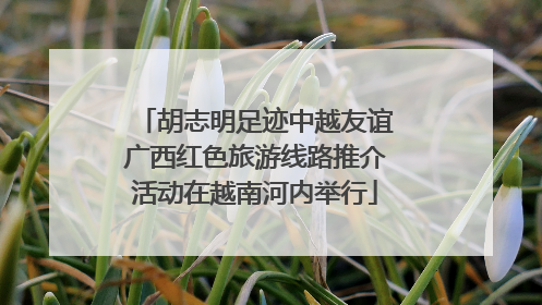 胡志明足迹中越友谊广西红色旅游线路推介活动在越南河内举行