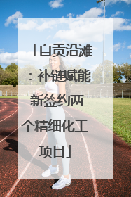 自贡沿滩：补链赋能 新签约两个精细化工项目
