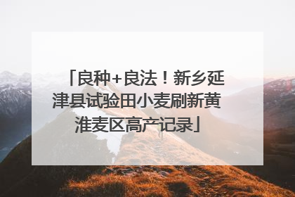 良种+良法！新乡延津县试验田小麦刷新黄淮麦区高产记录
