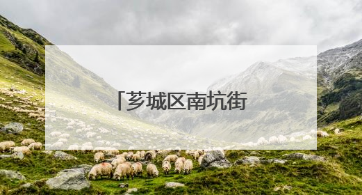 芗城区南坑街道侨联举办端午节主题活动