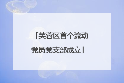 芙蓉区首个流动党员党支部成立