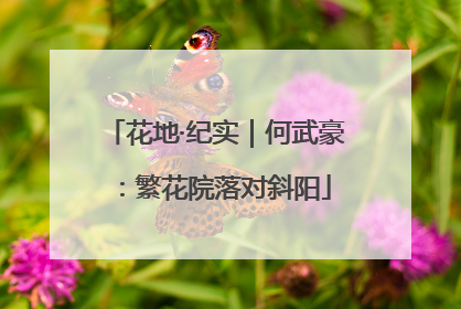花地·纪实｜何武豪：繁花院落对斜阳
