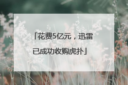 花费5亿元，迅雷已成功收购虎扑