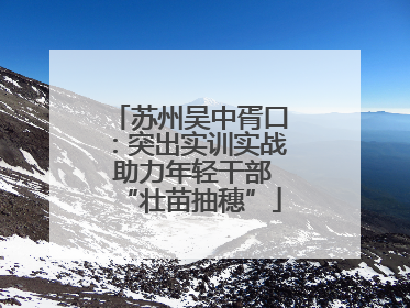 苏州吴中胥口：突出实训实战 助力年轻干部“壮苗抽穗”