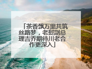 茶香飘万里共筑丝路梦，老挝副总理吉乔期待川老合作更深入