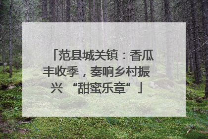 范县城关镇：香瓜丰收季，奏响乡村振兴 “甜蜜乐章”