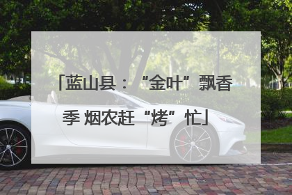 蓝山县：“金叶”飘香季 烟农赶“烤”忙