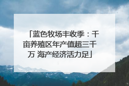 蓝色牧场丰收季：千亩养殖区年产值超三千万 海产经济活力足
