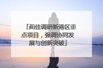 蔺佳调研新港区重点项目，强调协同发展与创新突破