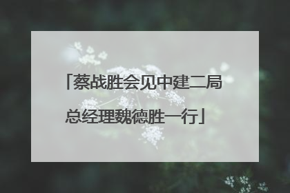 蔡战胜会见中建二局总经理魏德胜一行